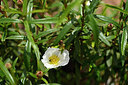 BUITEN BEELD Foto: 439241