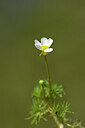 BUITEN BEELD Foto: 439245