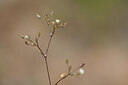 BUITEN BEELD Foto: 439246