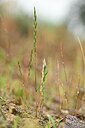 BUITEN BEELD Foto: 439247