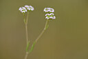 BUITEN BEELD Foto: 439252