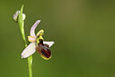 BUITEN BEELD Foto: 439260