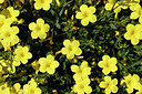 BUITEN BEELD Foto: 439264