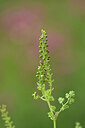 BUITEN BEELD Foto: 439266