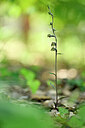 BUITEN BEELD Foto: 439278