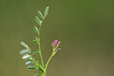 BUITEN BEELD Foto: 439280