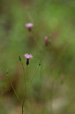 BUITEN BEELD Foto: 439281