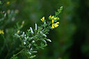 BUITEN BEELD Foto: 439283