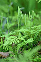 BUITEN BEELD Foto: 439284