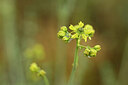 BUITEN BEELD Foto: 439286
