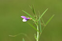BUITEN BEELD Foto: 439294