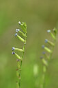 BUITEN BEELD Foto: 439297