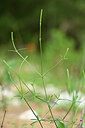 BUITEN BEELD Foto: 439299
