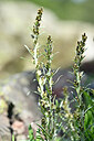 BUITEN BEELD Foto: 439302