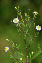 BUITEN BEELD Foto: 439304