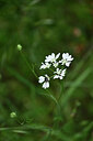 BUITEN BEELD Foto: 439306