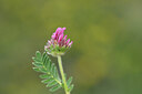 BUITEN BEELD Foto: 439310