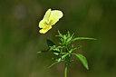 BUITEN BEELD Foto: 439316
