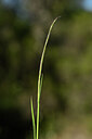 BUITEN BEELD Foto: 439317