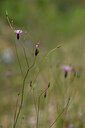 BUITEN BEELD Foto: 439318