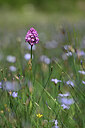 BUITEN BEELD Foto: 439320
