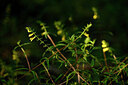 BUITEN BEELD Foto: 439322