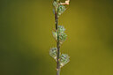 BUITEN BEELD Foto: 439324