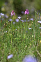 BUITEN BEELD Foto: 439325