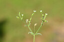 BUITEN BEELD Foto: 439326