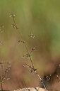 BUITEN BEELD Foto: 439329