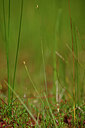 BUITEN BEELD Foto: 439332
