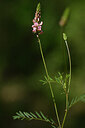 BUITEN BEELD Foto: 439334