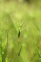 BUITEN BEELD Foto: 439335