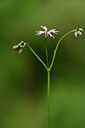 BUITEN BEELD Foto: 439343