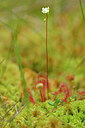 BUITEN BEELD Foto: 439350