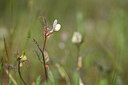 BUITEN BEELD Foto: 439351