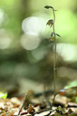 BUITEN BEELD Foto: 439352