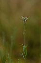 BUITEN BEELD Foto: 439353