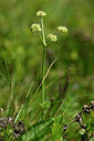 BUITEN BEELD Foto: 439356