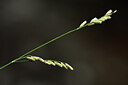 BUITEN BEELD Foto: 439361
