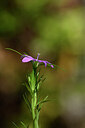 BUITEN BEELD Foto: 439365