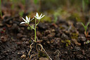 BUITEN BEELD Foto: 439366
