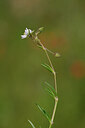 BUITEN BEELD Foto: 439367