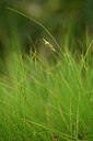 BUITEN BEELD Foto: 439370