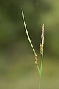BUITEN BEELD Foto: 439371