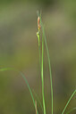 BUITEN BEELD Foto: 439372