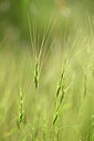 BUITEN BEELD Foto: 439373