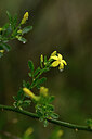BUITEN BEELD Foto: 439375