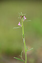 BUITEN BEELD Foto: 439376