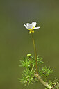BUITEN BEELD Foto: 439377